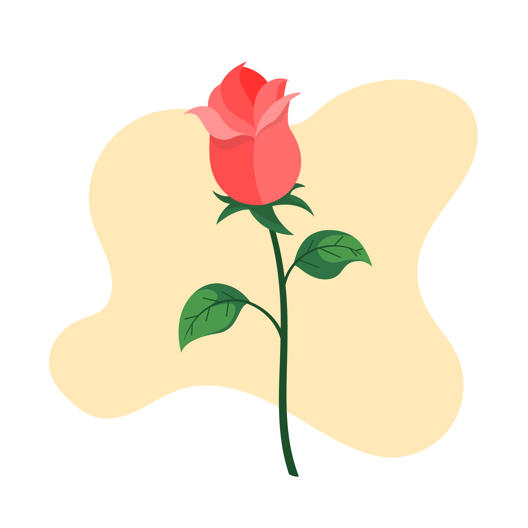 Kategori - BAK KAYÈE - Kamus Gambar Bahasa Aceh